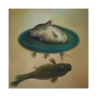 Corydoras Catfish Dreamscape - platno