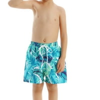 Camland muški kratke hlače Ljetna plaža plus veličina Print muški kostimi s džepovima hlače na plaži