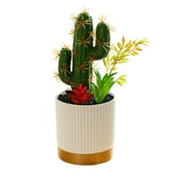 Umjetne postrojenja sa loncima umjetne sočne biljke lažni kaktus dekorativni
