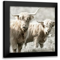 Delimont, Danita Crna Moderna uokvirena muzejska umjetnost Print pod nazivom - Dlakavi Highland Bulls