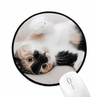 Kitty Cat Stripes Rela Sleep Animal Pad za miša Desktop Office Round Mat za računar