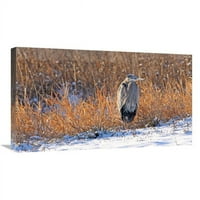 u. Heron u zimi II Art Print - Vic Schendel