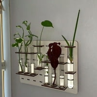 Prozirna dekoracija cvijeća - kivete - Drvena stalak Viseća šipka - Sjajan ležaj opterećenja - home