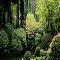 Panoramski pogled na vrt, japanski vrt, Washington Park, Portland, Oregon Poster Print