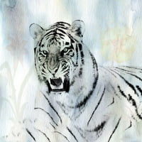 Akvarel Tiger Poster Print Sheldon Lewis