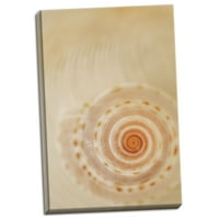 Gango Domaći dekor morske školjke I od Karyn Millet; Jedna 24x36IN ručno rastegnuta platna