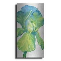 Luxe Metal Art 'Iris Bloom u Green II' Tim O'Toole, metalna zidna umjetnost, 24 x48