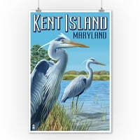Kent Island, Maryland, Blue Heron