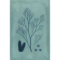 Vision Studio Crna modernog uokvirenog muzeja Art Print pod nazivom - Indigo i Azure Seaweed V