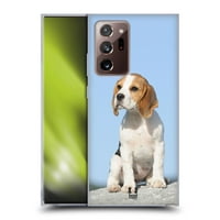 Dizajni glave Popularni pasmina pasa Sjedeti Beagle Puppy Soft Gel Case kompatibilan sa Samsung Galaxy