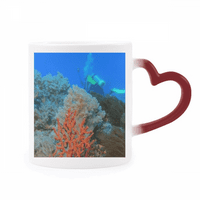 Ocean Ribe Ronjenje Ljudi Naučno priroda Toplinska osjetljiva kriglica Crvena boja Promjena kamena posuđa