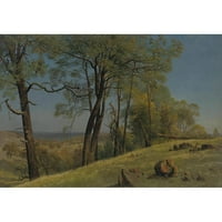 Albert Bierstadt Black Ornate Wood uramljeno Double Matted Museum Art Print Naslovnica: Rockland County,