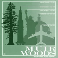 Muir Woods National Monument, Kalifornija - Relativne veličine stabla crvenog drveta