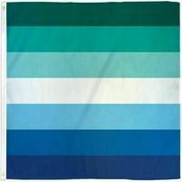 Gay mužjak Rainbow Flag FT LGBTQ Pride Plava zelena