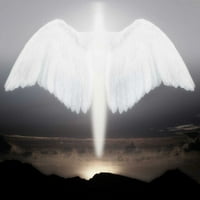 Umjetnička stvaranje anđela ili duha Jima Zuckermana