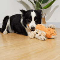2-In-Interaktivne plišane plijenske igračke za pse - škripav kućni ljubimci i štenad obogaći igračke