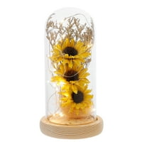 Deckolor suncokretovo svjetlo dekor suncokret sušeni cvjetni stakleni poklopac ukras