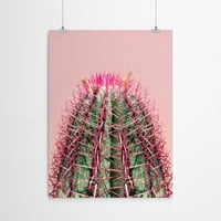 AmericanFlat Cactus na ružičastoj II by Emanuela Carratoni Poster Art Print