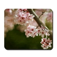 Cafepress - cvjetovi trešnje Cvijeće Mousepad - Neklizaj gume Mousepad, Gaming jastučić za miš