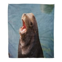 Baci za toplu udobnu print Flannel Brown California brtve koji se obično nazivaju morski lavovi u Morro