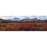 Jesenje boje uljepšavaju pejzaž u nadgrobnom teritorijalnom parku duž autoputa Dempter - Yukon Canada