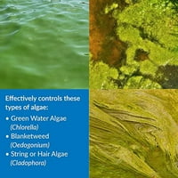 Pond algaefi algae kontrola 1-galon boce