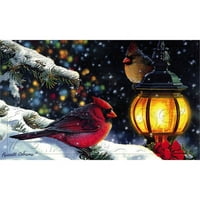 Snježne noćne ptice reljefne podne prostirke