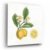 Epic Art 'Classic Citrus I' Sue Schlabach, Akrilna staklena zida Art, 12 x12