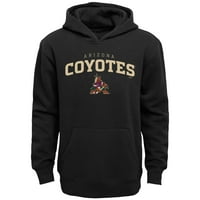 Mladi Black Arizona Coyotes Ekipa zaključavaju pulover Hoodie