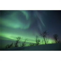 Sjeverna svjetla u Arktičkoj divljini, Nordland, Norveška Poster Print
