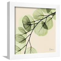 Mint Eucalyptus 1, botanička uokvirena umjetnost Print Wall Art Albert Koetsier Prodano od strane Artcom