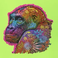Šareno neon gorila