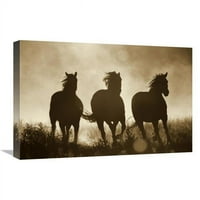 u. Domaći konjski trio trčanje u zalasku sunca, Oregon - Sepia Art Print - Konrad wothe
