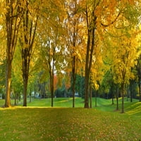 Javni park u jesenjim bojama, greham, okrug Multomah, Oregon, USA Poster Print