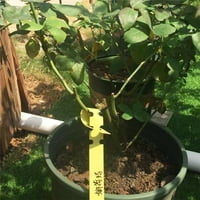 Talus Reble Vodootporni PVC biljni vrtni markeri za dvorište Žuta jedna veličina
